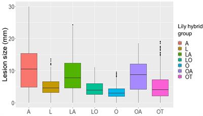 Fire Blight Susceptibility in Lilium spp. Correlates to Sensitivity to Botrytis elliptica Secreted Cell Death Inducing Compounds